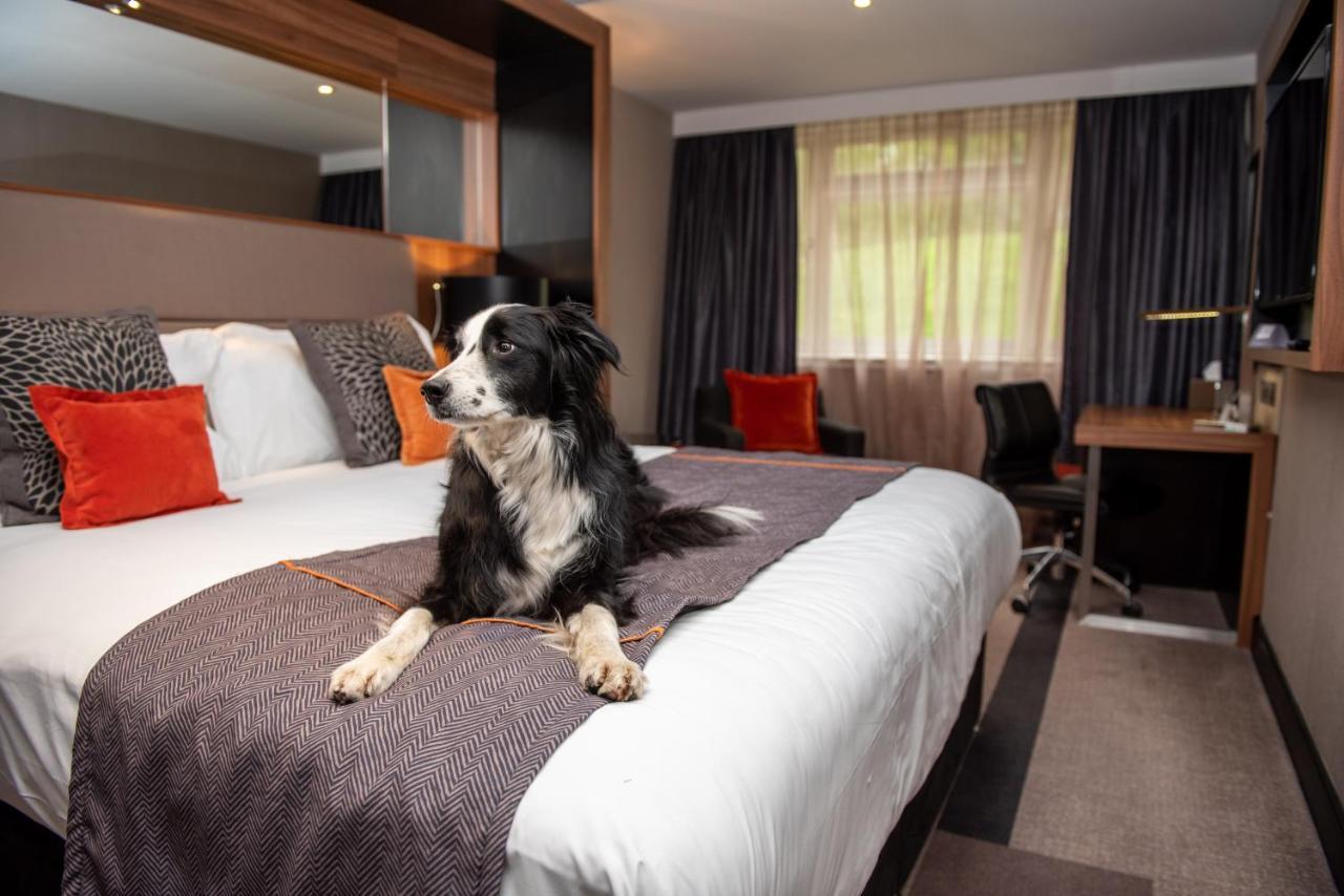 Crowne Plaza Gerrards Cross By Ihg Otel Beaconsfield Dış mekan fotoğraf